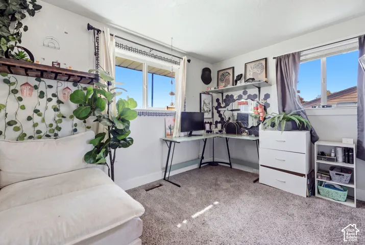 Carpeted flooring, white walls, and dual pane windows