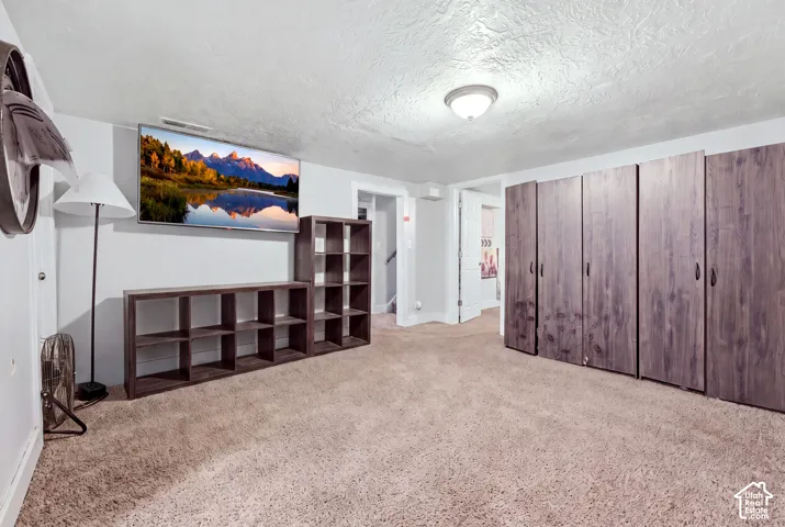 Wall-mounted television with built-in storage shelving, a neutral carpeted floor, and a series of wood-finish storage cabinets with black hardware