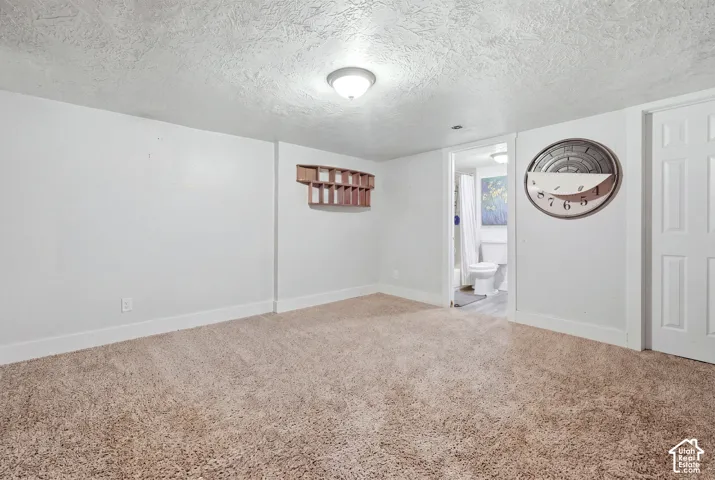 Neutral-toned carpeting, white walls, and a built-in wooden shelving unit
