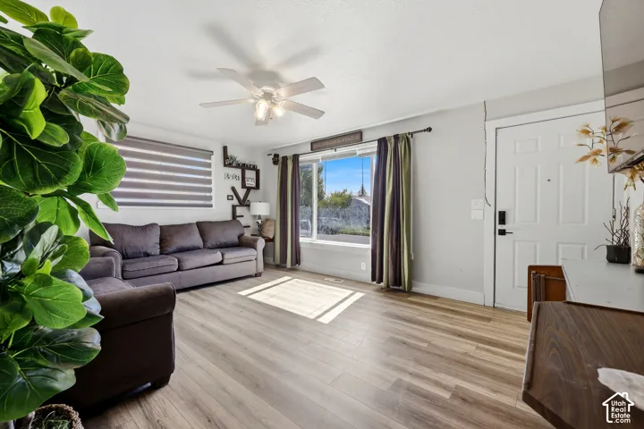 Wood-finish flooring, ceiling fan with integrated lighting, window with drapes and blinds, white entry door
