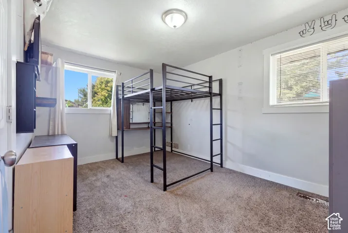 Wall-to-wall carpeting, multiple windows, and a ceiling-mounted light fixture