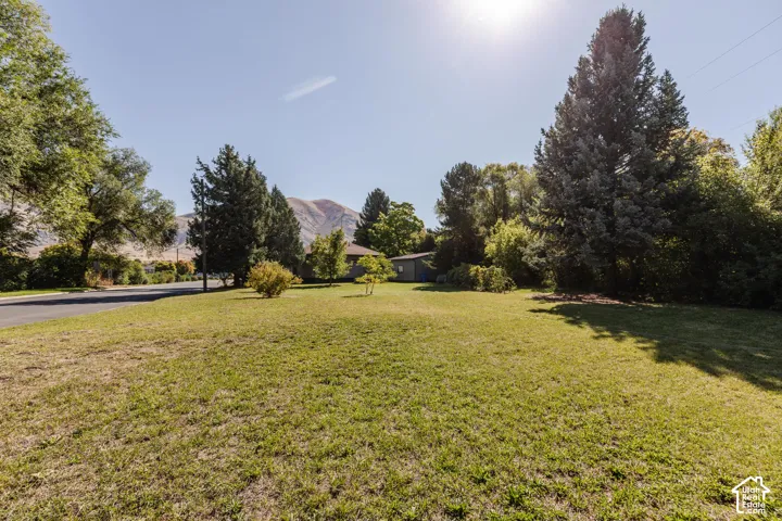 Expansive green lawn with mature trees and a mountain backdrop
