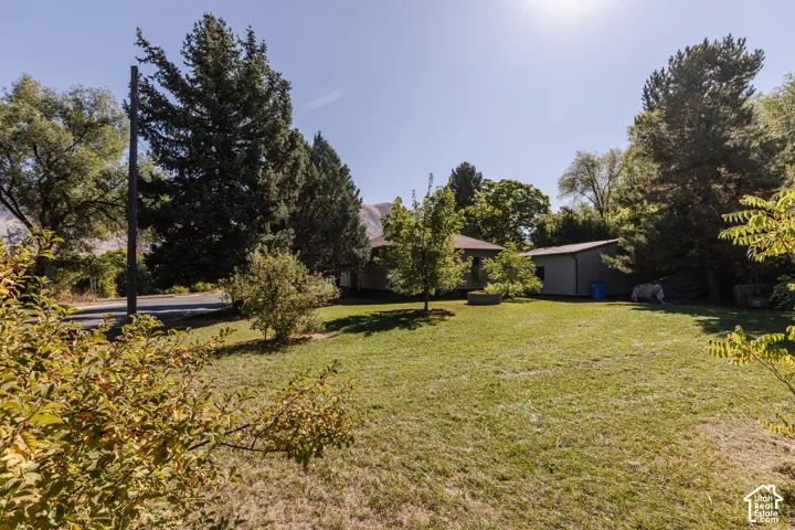 Expansive grassy lawn with mature trees and a detached shed