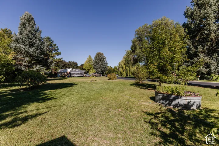 Expansive grassy yard with mature trees and a raised garden bed
