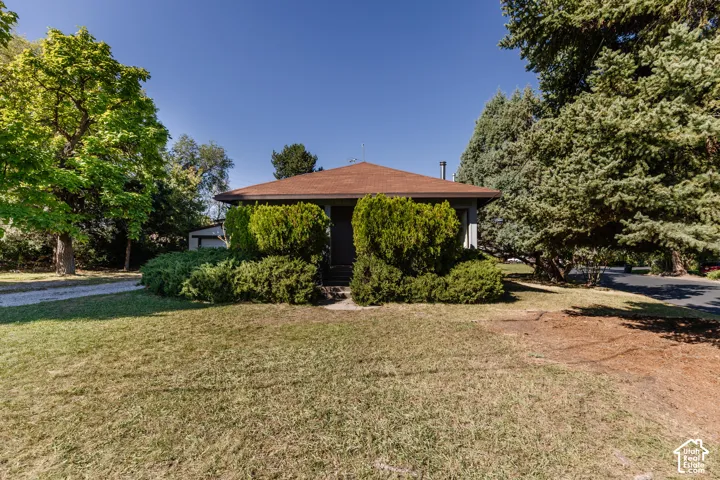 Single-story residence featuring a brown shingled roof, mature evergreen trees, expansive front lawn, and a gravel driveway
