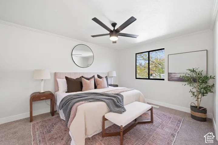 Crown molding, ceiling fan, large window, carpeted flooring, and a built-in upholstered headboard