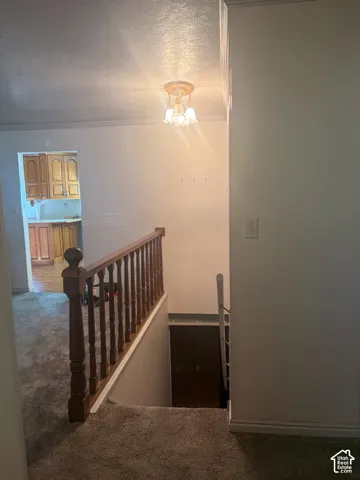 Carpeted staircase with a wood-railing
