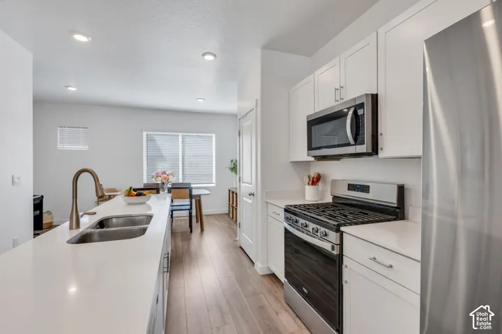 Modern kitchen with stainless steel appliances, white cabinetry, a large island with an undermount double sink, and wood-finish flooring