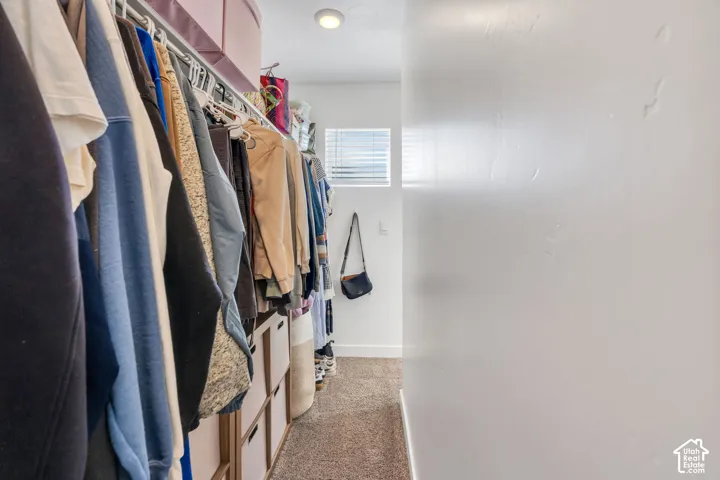 Integrated closet organization system, carpet flooring, recessed ceiling lighting, and a window with horizontal blinds
