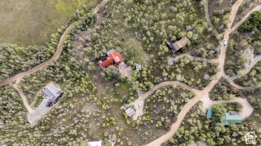 Expansive land with multiple structures and extensive tree coverage