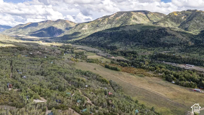 Mountainous terrain with extensive tree coverage and open fields