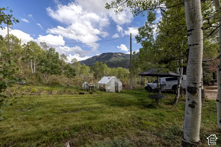 Expansive grassy area with mature trees and mountain backdrop