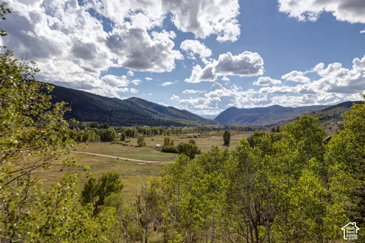 Expansive valley scenery, distant mountains, open fields, and mature trees