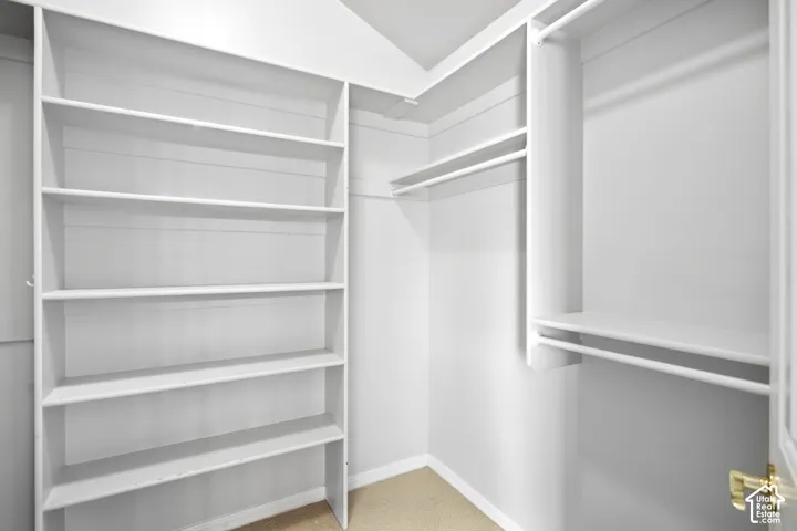 Built-in shelving, integrated closet rods, and neutral carpeting