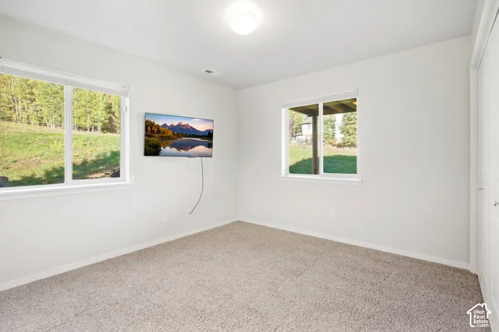 Bright room with two windows, light-colored carpeting, and a flush-mount ceiling light