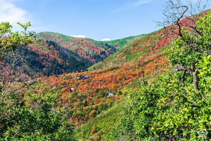 1232 Hillside Dr, Midway, Utah 84049