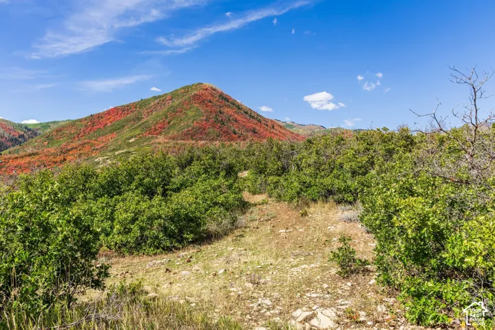 1232 Hillside Dr, Midway, Utah 84049