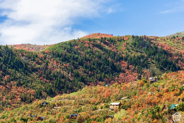 1232 Hillside Dr, Midway, Utah 84049