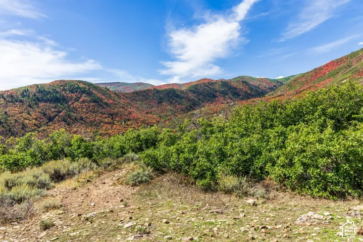 1232 Hillside Dr, Midway, Utah 84049