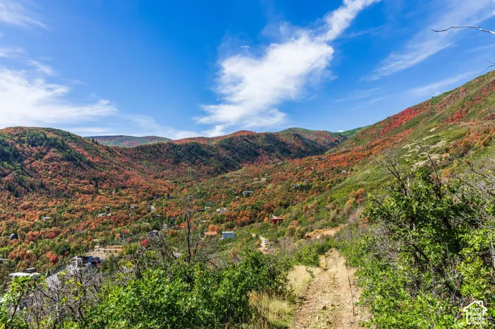 1232 Hillside Dr, Midway, Utah 84049