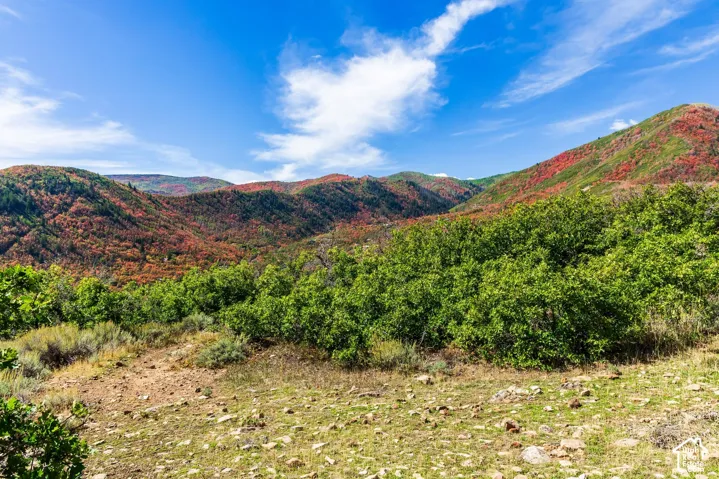1232 Hillside Dr, Midway, Utah 84049