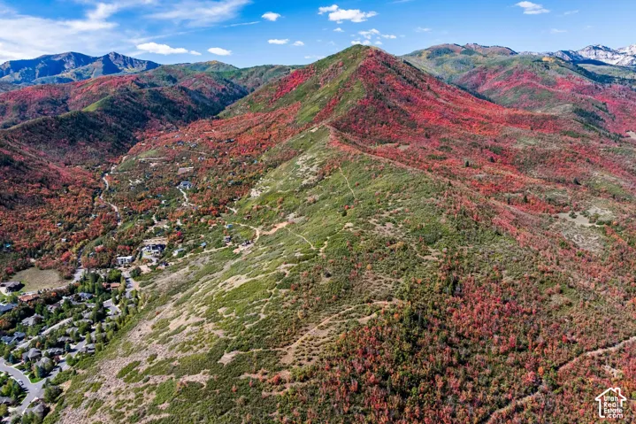 1232 Hillside Dr, Midway, Utah 84049