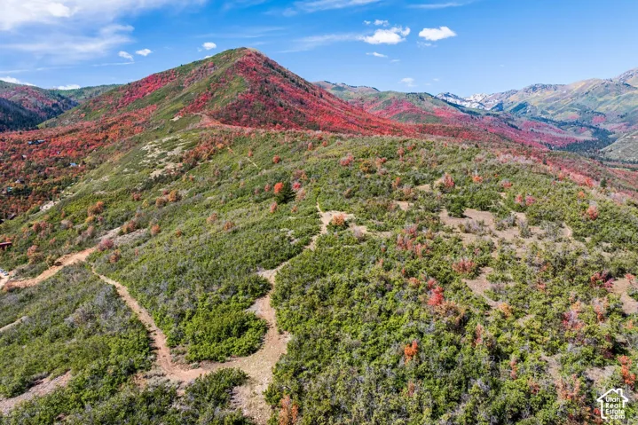 1232 Hillside Dr, Midway, Utah 84049