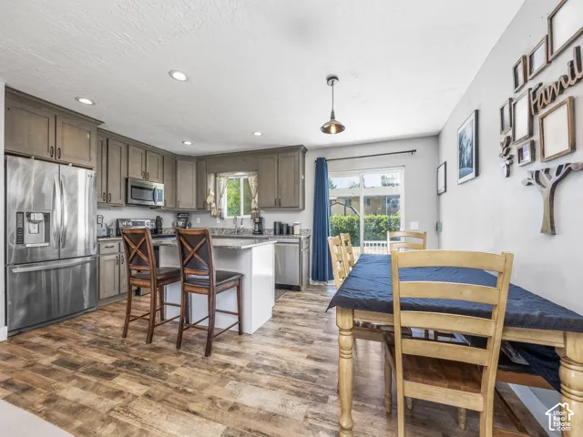 Modern kitchen with gray cabinetry, stainless steel appliances, and wood-finish flooring