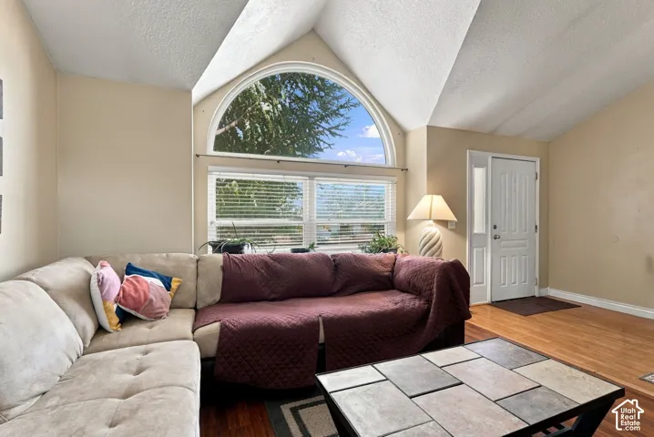 Vaulted ceilings, arched window, multiple window panes, wood-finish flooring, and a paneled entry door