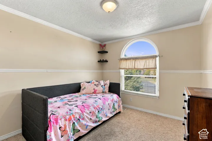 Arched window with blinds, carpeted flooring, crown molding, and chair rail detailing