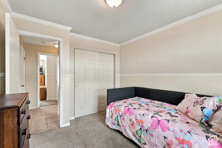 Wall-to-wall carpeting with crown molding and chair rail detailing