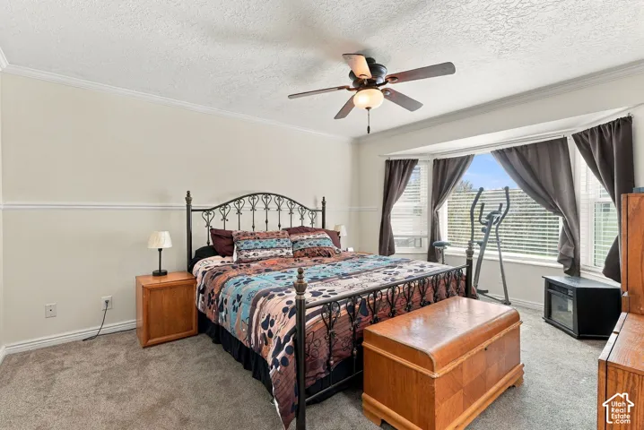 Expansive bay window, crown molding, ceiling fan, and carpet flooring
