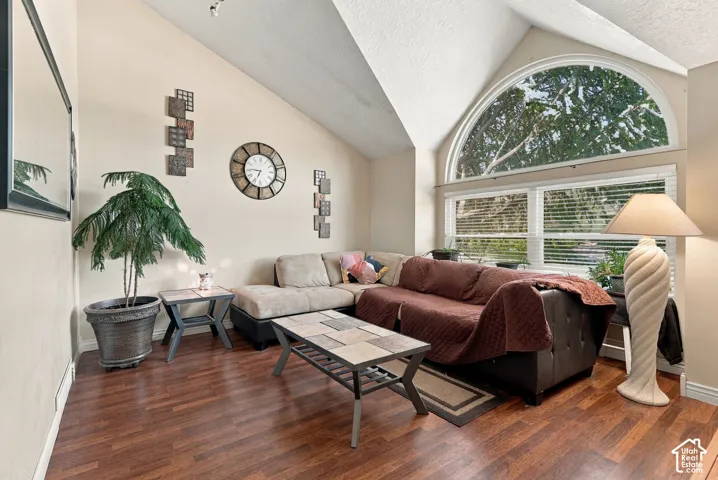 Vaulted ceiling with an arched window, wood-finish flooring, and track lighting