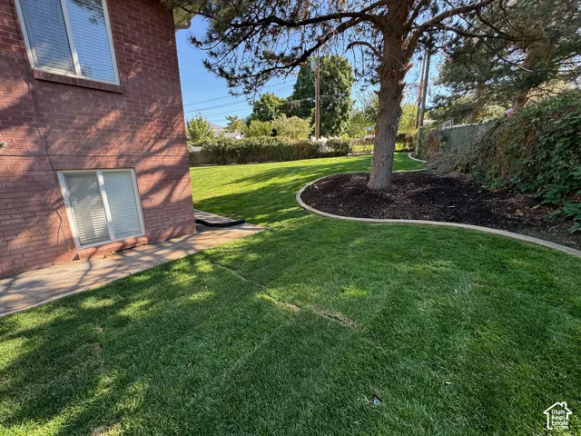 Mature tree with mulched bed, manicured lawn, and brick exterior