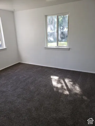 Carpeted flooring, white painted walls, and multiple windows with white trim