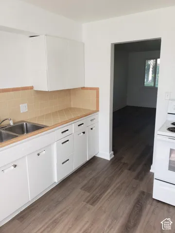 White cabinetry with contemporary hardware, stainless steel double basin sink, neutral tile backsplash, and wood-finish flooring