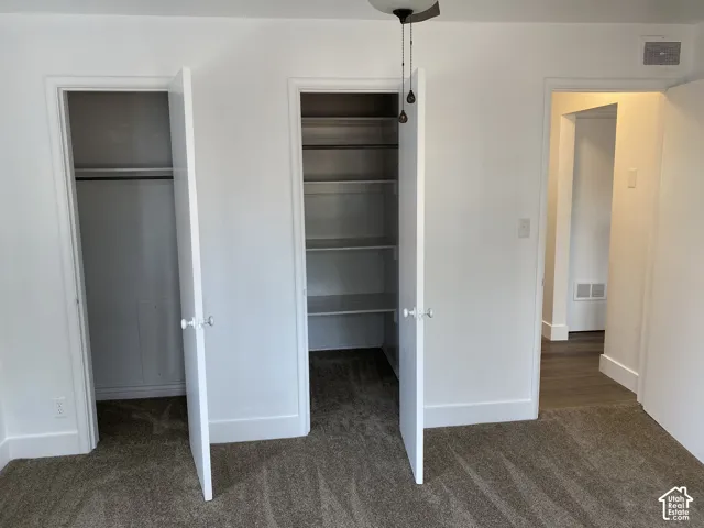 Two white paneled doors, built-in shelving, carpet flooring, and a light fixture