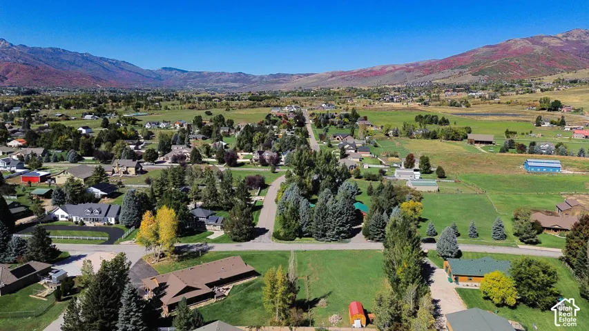 Drone View