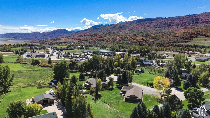 Drone View