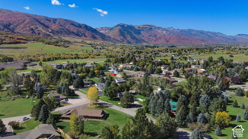 Drone View