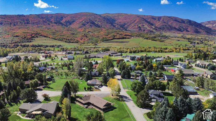 Drone View