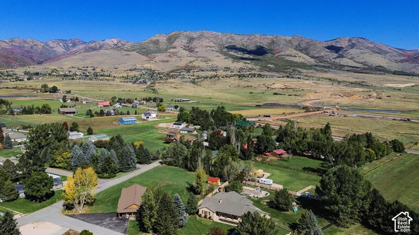 Drone View