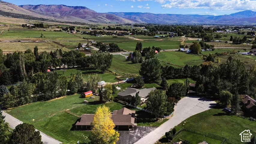 Drone View