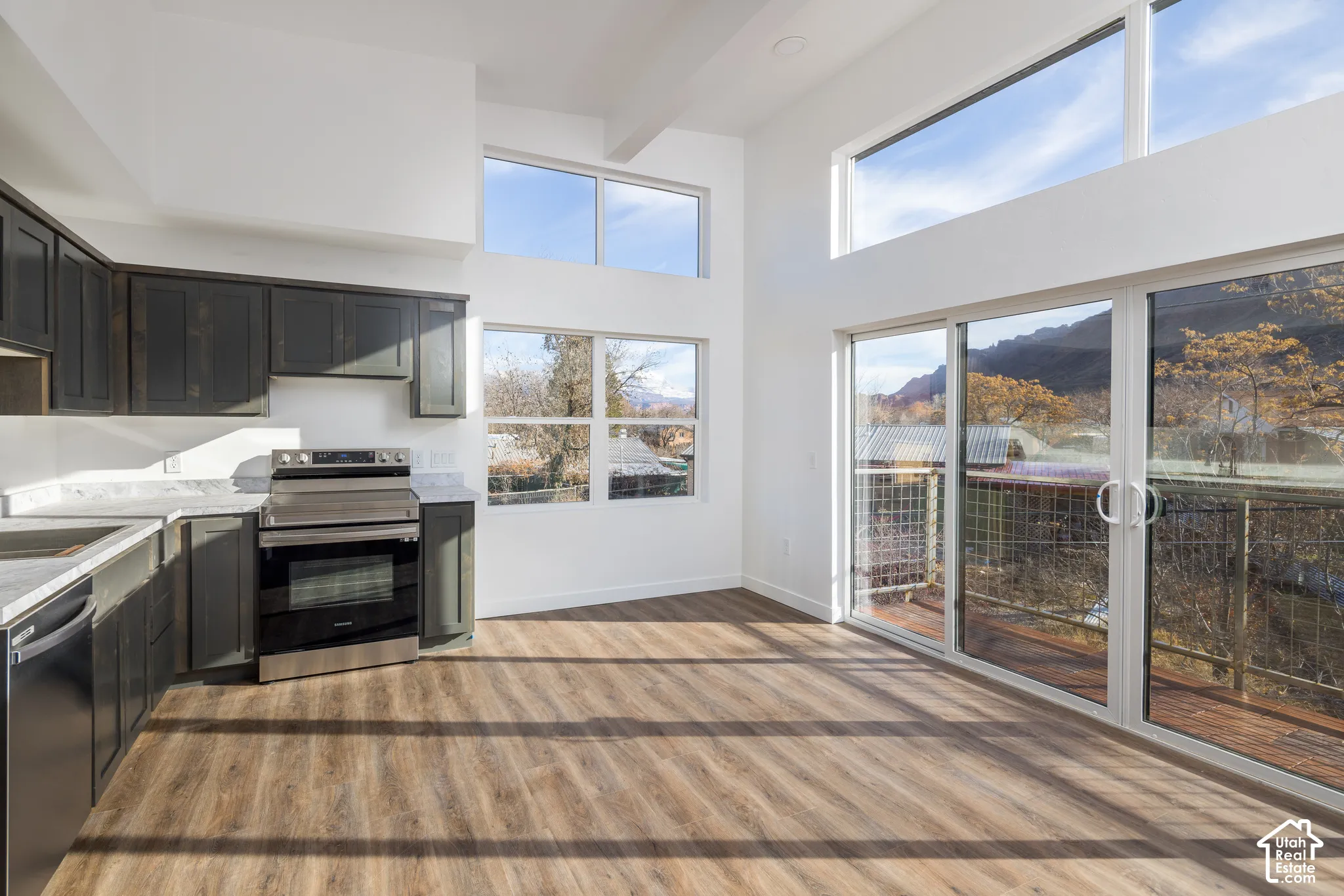 Open-concept living space with wood-finish flooring, a kitchen featuring dark cabinetry and light countertops, and stainless steel appliances
