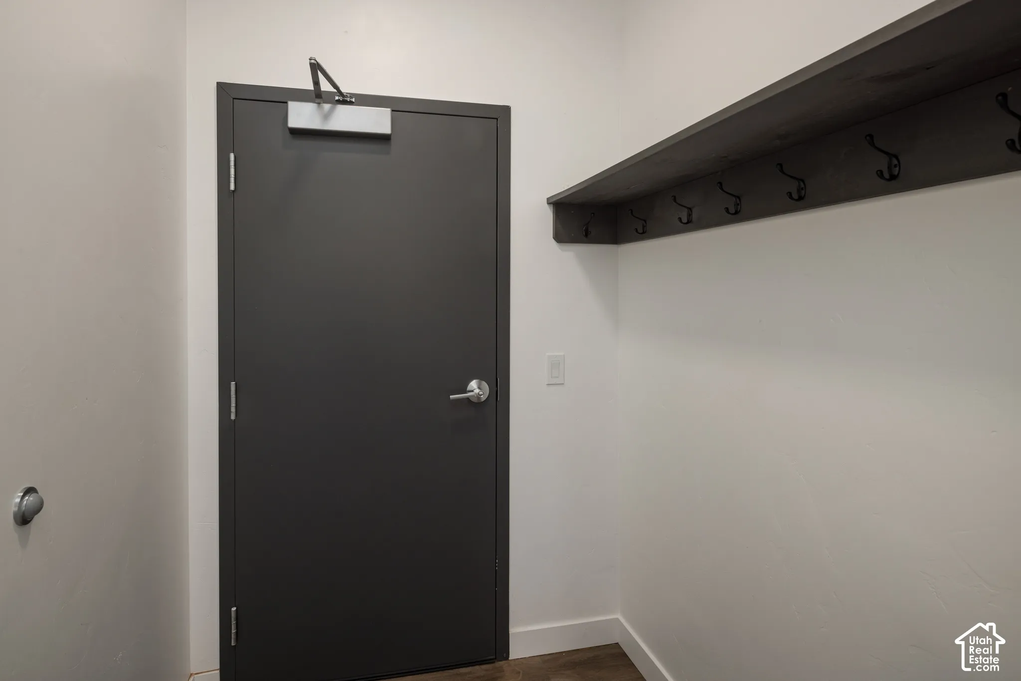 Dark gray door with a door closer, chrome door handle, and a wall-mounted wooden shelf with black coat hooks
