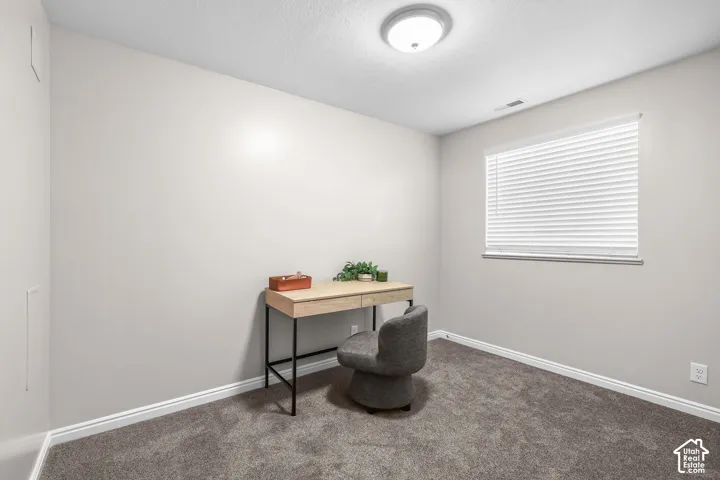 Textured carpeting with a neutral wall color, overhead flush mount lighting, and a single window with blinds