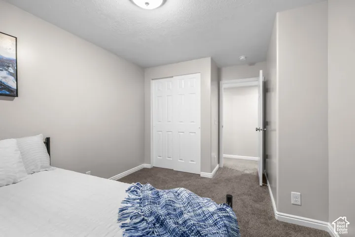 Neutral-toned walls, textured carpet, and a bi-fold closet door