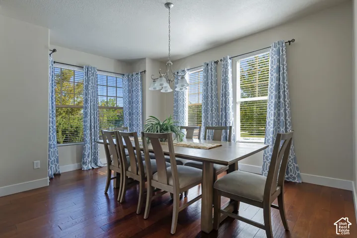 Hardwood-style flooring, a multi-pane window, and a chandelier with frosted glass shades