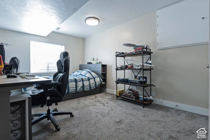 Wall-to-wall carpeting and a ceiling-mounted light fixture