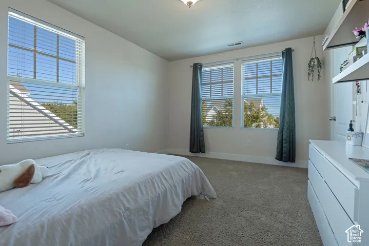 Carpeted room with multiple windows, featuring horizontal blinds and a ceiling-mounted light fixture
